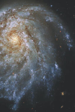 Spiral Galaxy