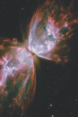 Butterfly Nebula